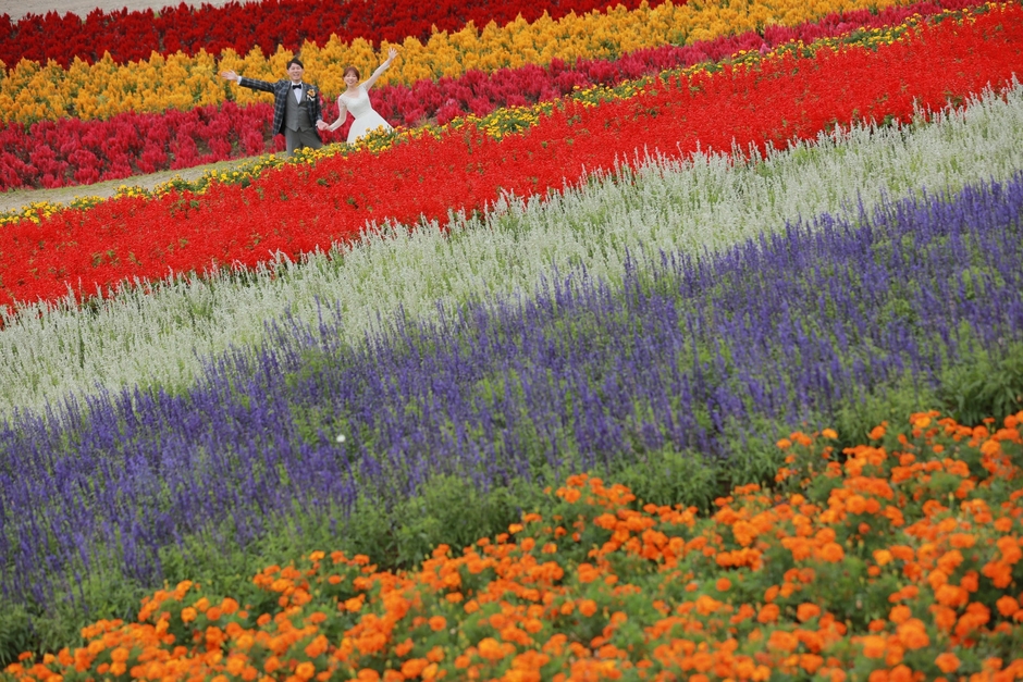 ロケ地:四季彩の丘
