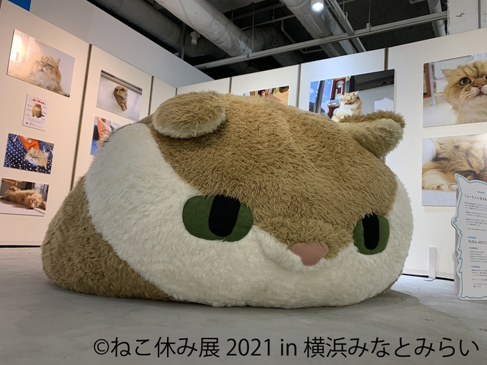 「ふーちゃん」巨大ぬいぐるみ