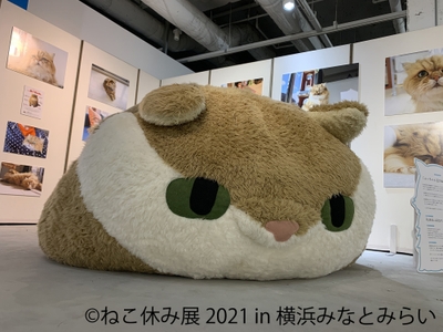 「ふーちゃん」巨大ぬいぐるみ