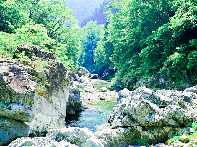 自然豊かな檜原村。多摩川の支流、秋川が流れます