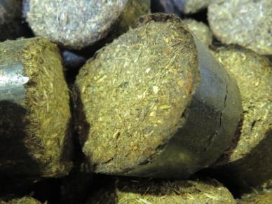 草木類バイオコークス