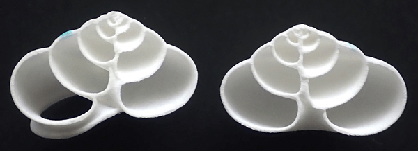 図2 プラスチック製人工殻の断面（左半分と右半分）