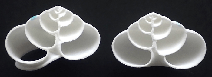 図2 プラスチック製人工殻の断面(左半分と右半分)