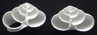 図2 プラスチック製人工殻の断面（左半分と右半分）