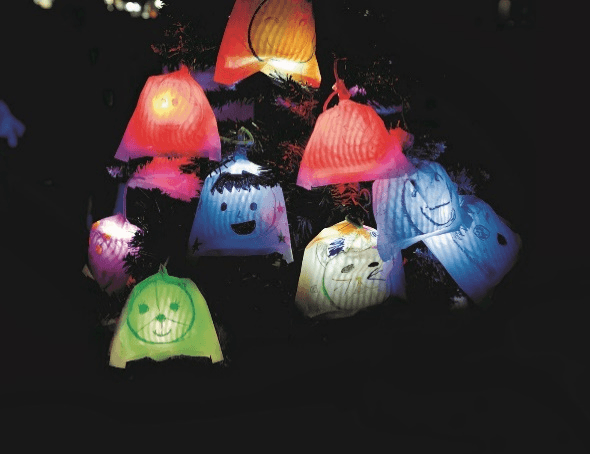 ひかりの実(イメージ)