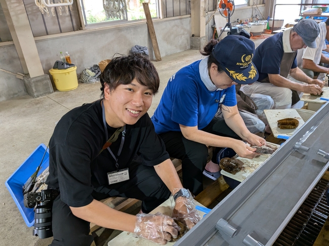 ふなずし作り体験クルーズお手伝い