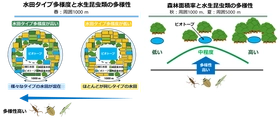 水生昆虫類の保全に適した休耕田ビオトープの立地条件を提言
