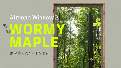 スマート窓Atmoph Window 2に、カリモク家具とコラボで虫食い木材をアップサイクルした「ワーミーメープル」モデルが登場！Makuakeでクラウドファンディング開始