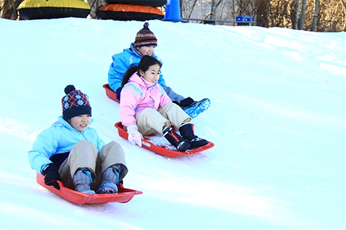 雪遊び場 そり遊び