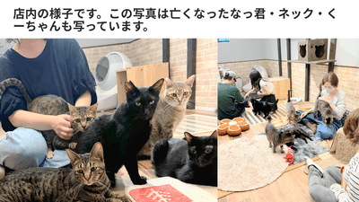 今も共にある命たち