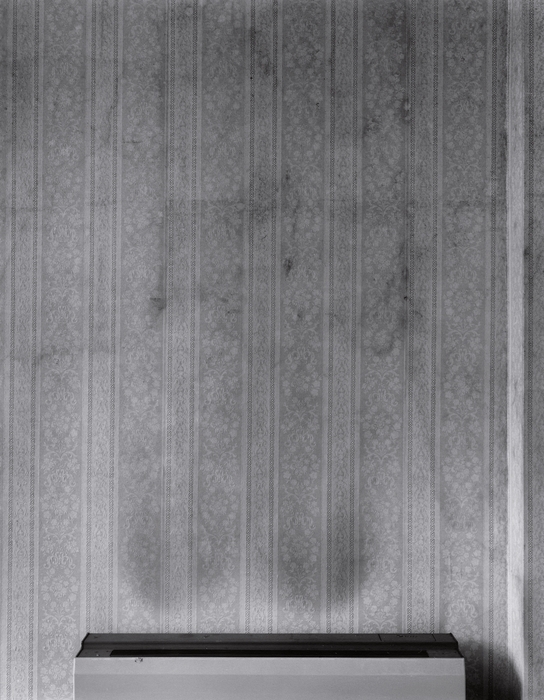 Courtesy the artist. (C) Yoneda Tomoko