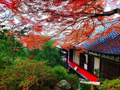 本堂と紅葉