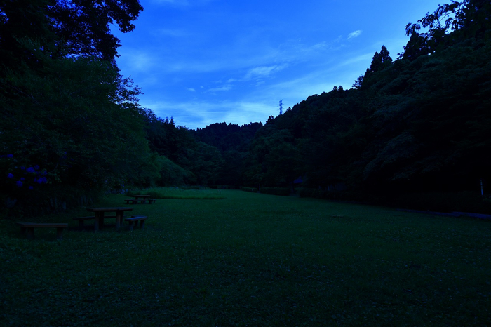 昼は賑やかな公園も夜になると…