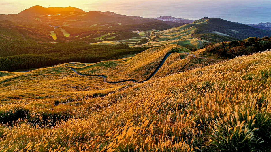 すすきの原(約125㌶)