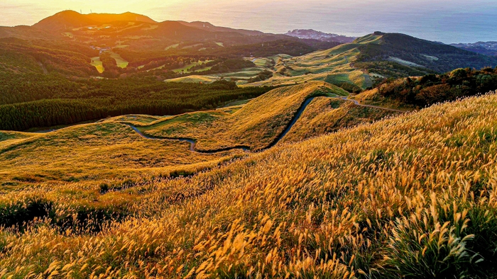 すすきの原(約125㌶)