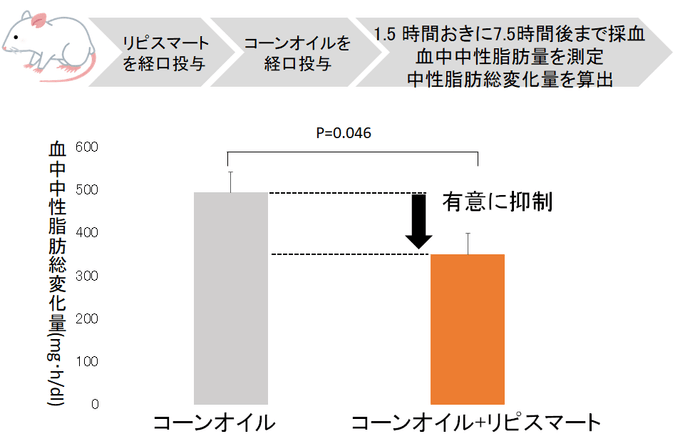 血中の中性脂肪量の増加を約30%抑制した