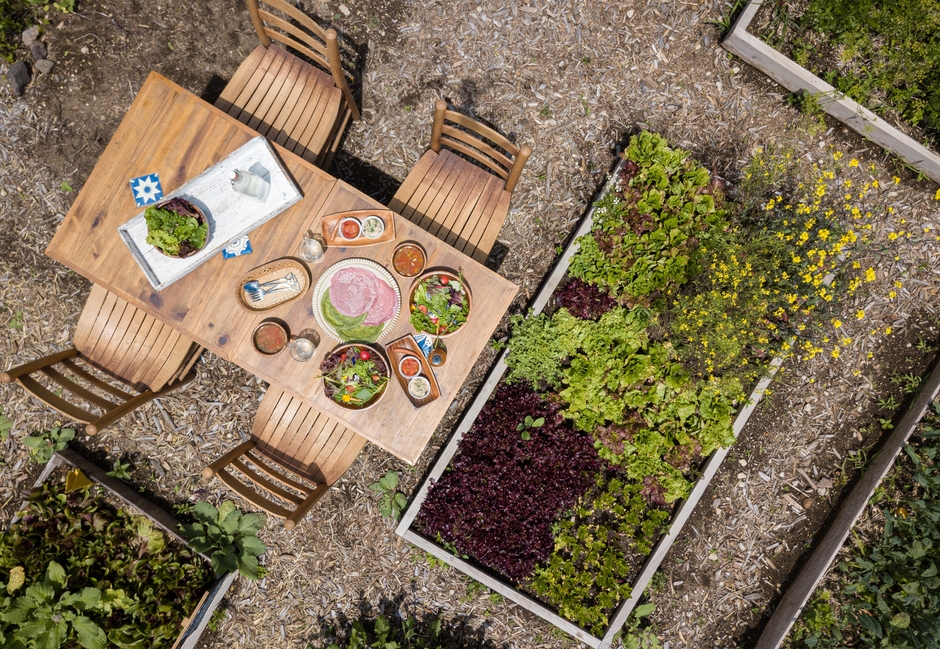 ランチイメージ