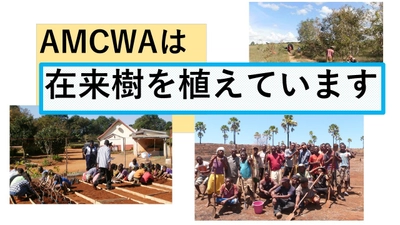 マダガスカルで在来樹による自然回復を目的にCAMPFIREにて クラウドファンディングを開始　終了まで残りわずか