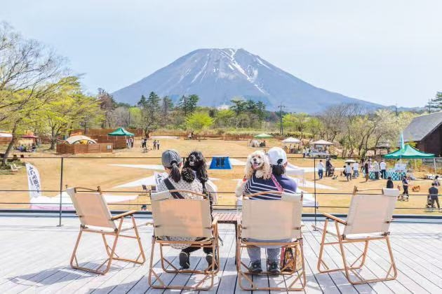 大山わんちゃんマルシェの様子