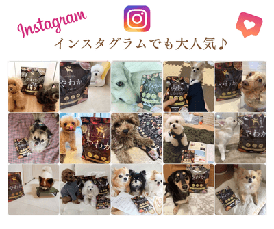 お客様のお声2
