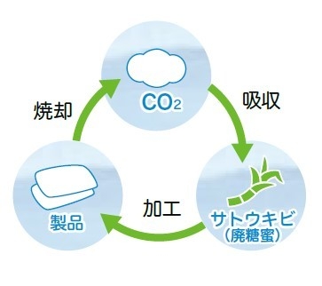 バイオマスの仕組み
