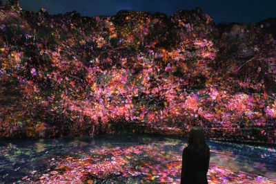 『チームラボ 養老渓谷』養老渓谷, 千葉 ©︎ チームラボ, Made with CG
