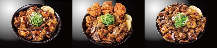 左から『炭焼き牛ホルすた丼』『炭焼きオールスター丼』『炭焼き牛ホルすた丼W盛り』