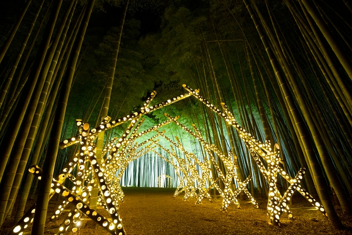 竹あかり(イメージ)