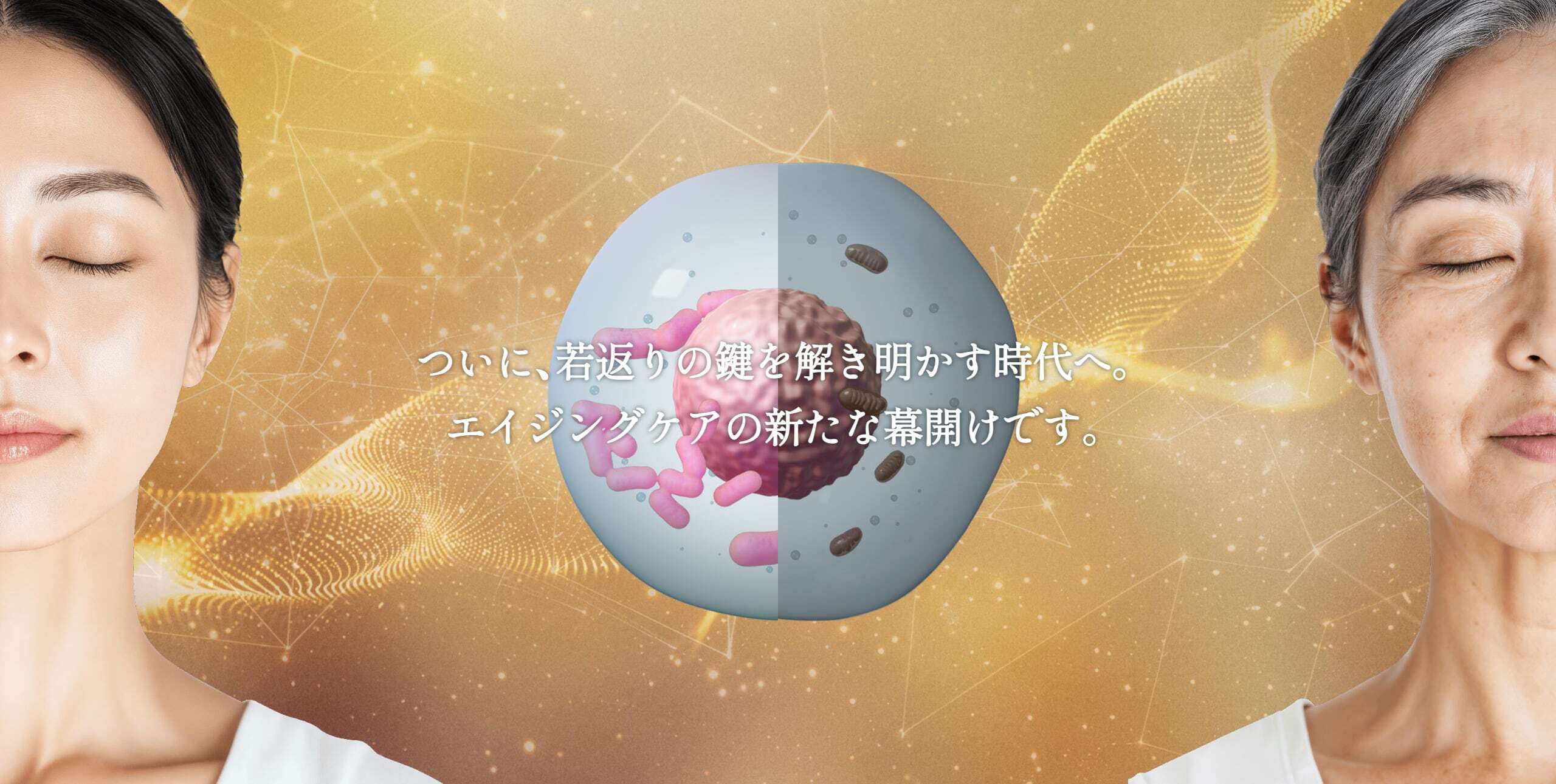 美の常識に挑む！大正製薬、最新エイジング研究公開！