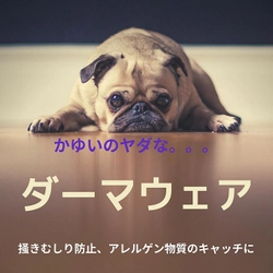 愛犬用?着るスキンケア『DERMA WEAR（ダーマウェア）』