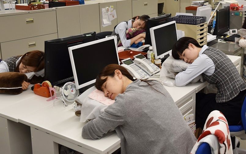 社員おひるねタイム写真