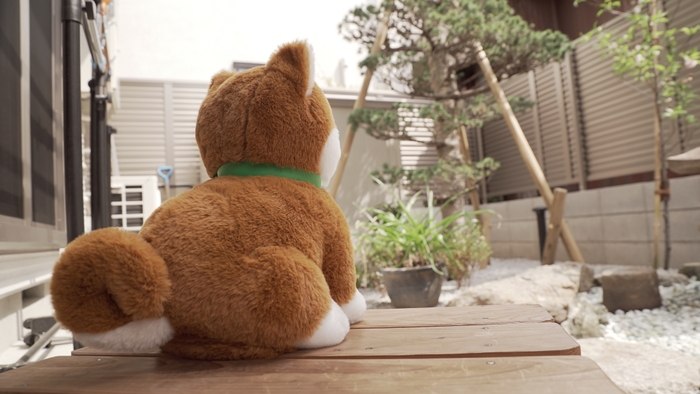 コウタ 庭