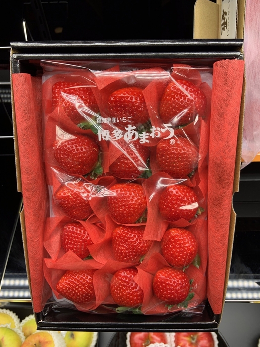 お正月準備支援お買い得日替わり商品(THE KAENいちご)