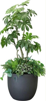 防災課長木下そなえ(1)