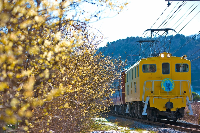 第19回秩父鉄道写真コンテスト車両部門 推薦(秩父鉄道社長賞)作品