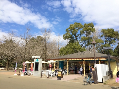 光が丘公園(外観)