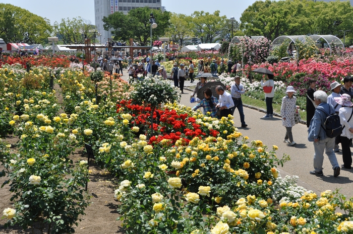 福山ばら祭