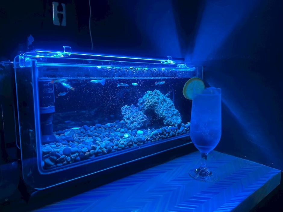 水槽2