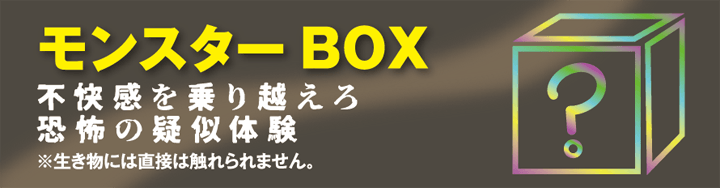 モンスターBOX