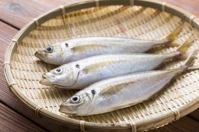 沼島黄金アジ