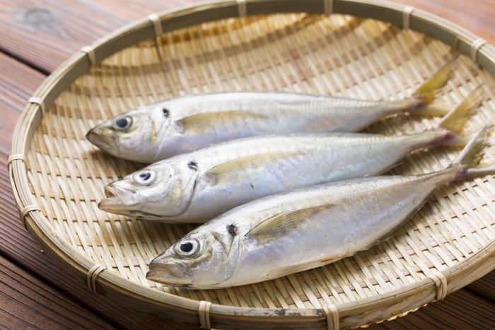 沼島黄金アジ