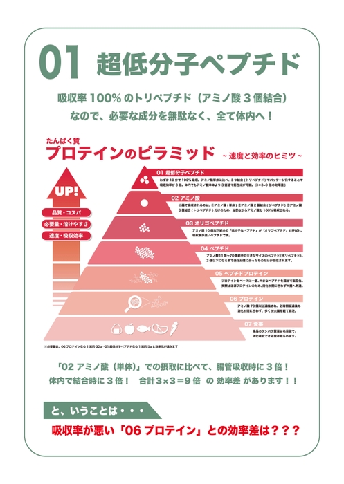 超低分子ペプチド1(プロテインのピラミッド)