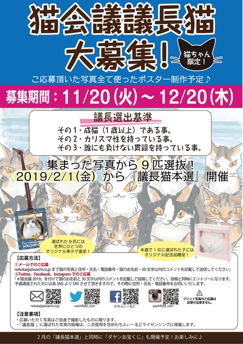 議長猫募集ポスター