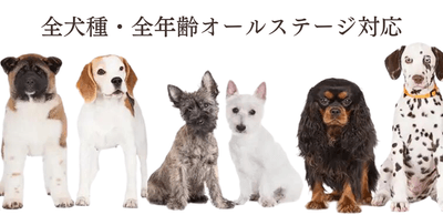 全犬種・全年齢オールステージ対応