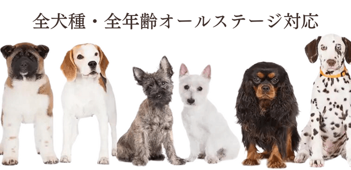 全犬種・全年齢オールステージ対応