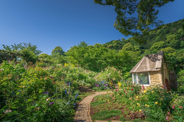 イングリッシュローズガーデン(ACAO FOREST)