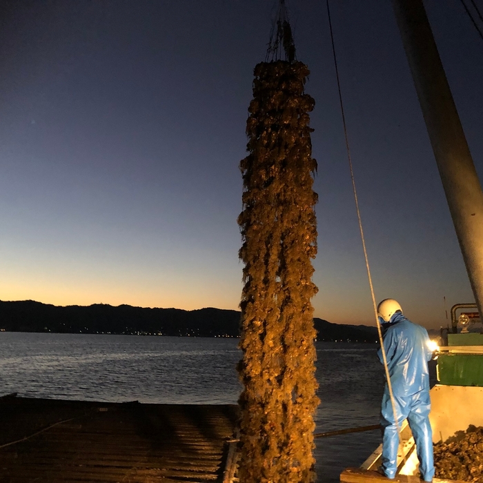 使用する牡蠣は全て地元広島産