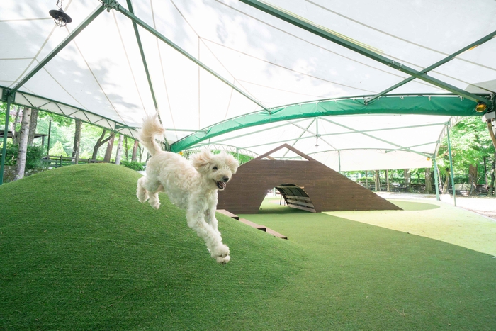 フォレストヒルズ那須 全天候型ドッグラン