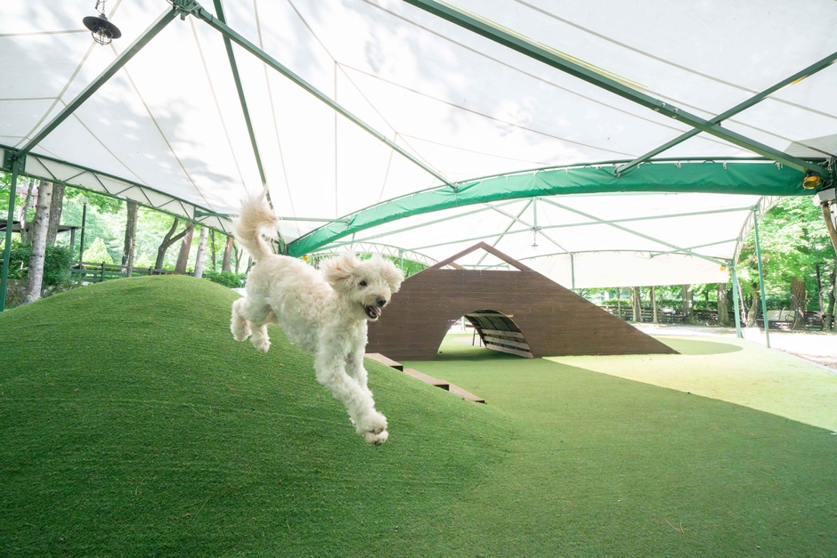 フォレストヒルズ那須 全天候型ドッグラン