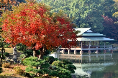 清澄庭園